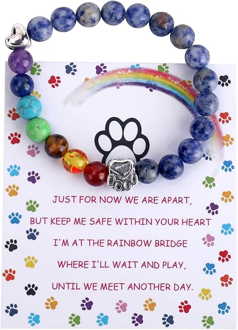 Rainbow Bridge Memorial Bracelet – 7 Chakra Bead Gift for Remembering Your Beloved Pet