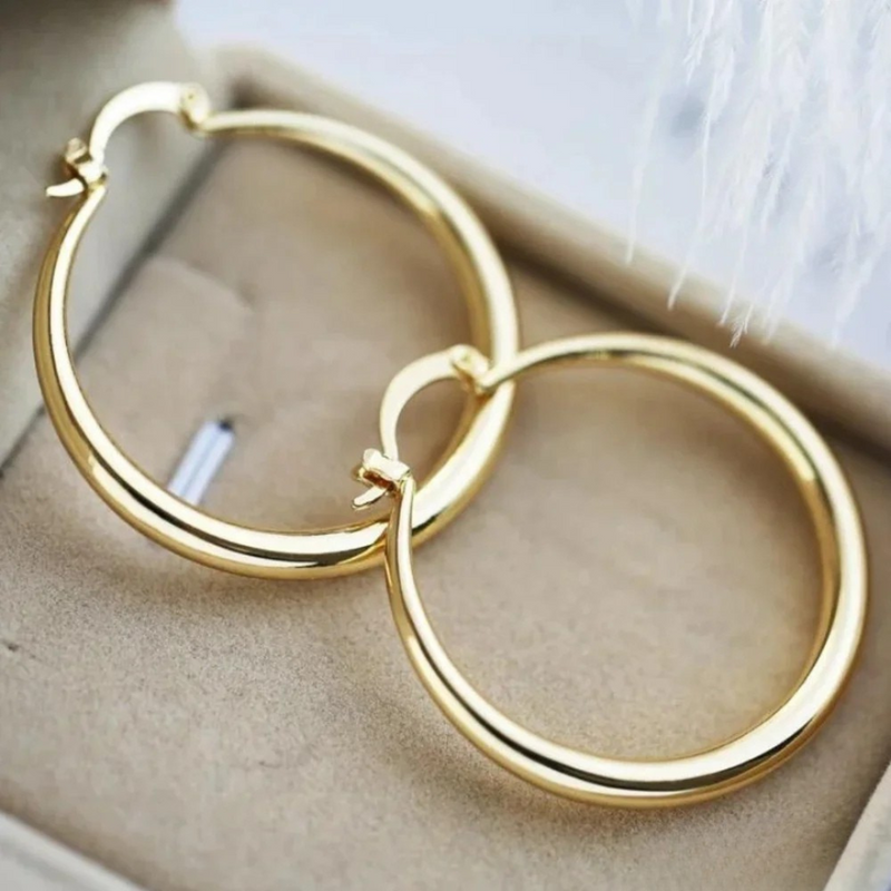 HoopLuxe - Elegant Gold Storage Earrings